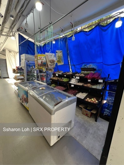 45 Telok Blangah Drive (D4), Shop House #446665281